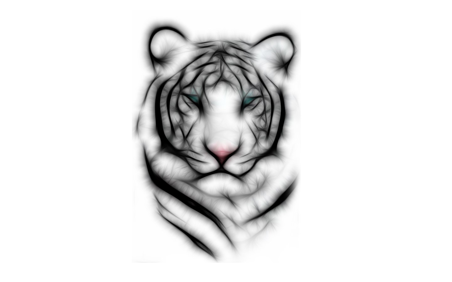 tiger head sketch art