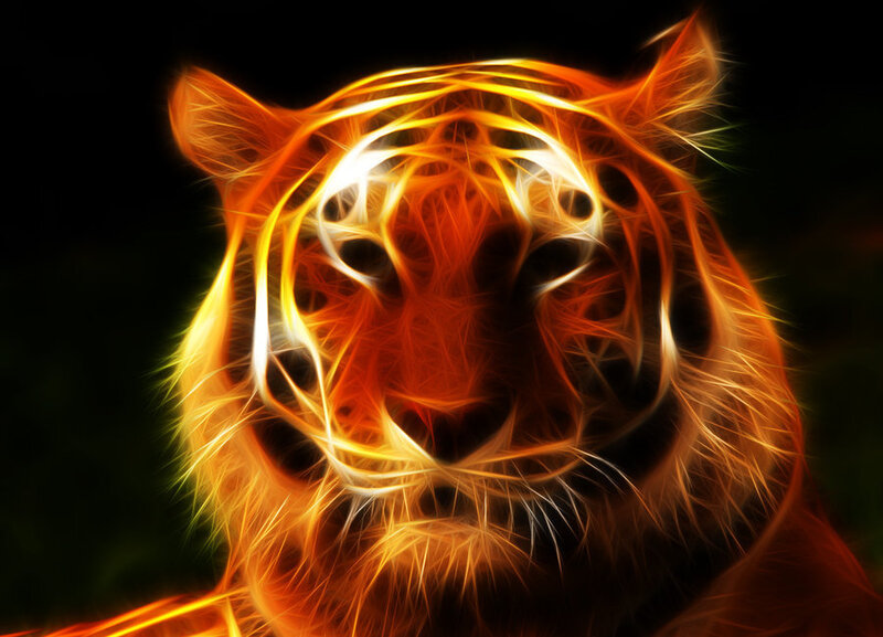 Tiger Head