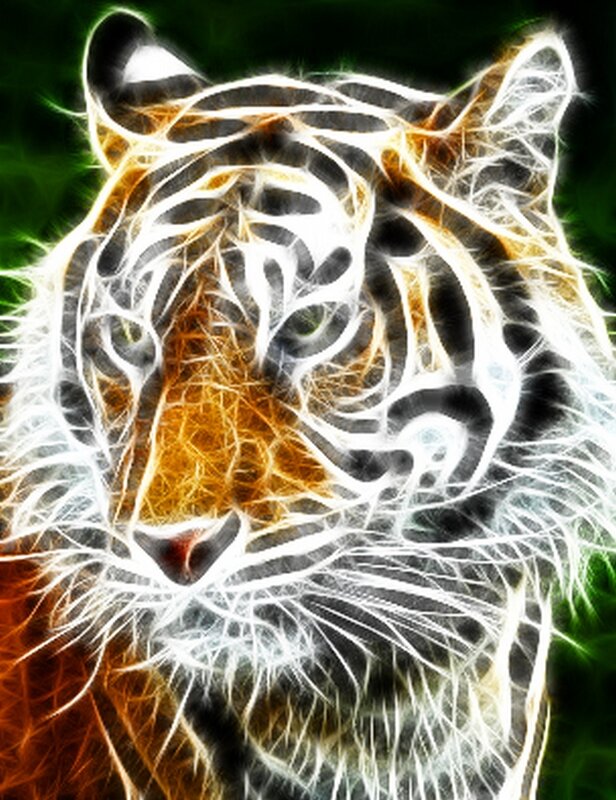 Tiger Head — White, Dramatic, Digital Art