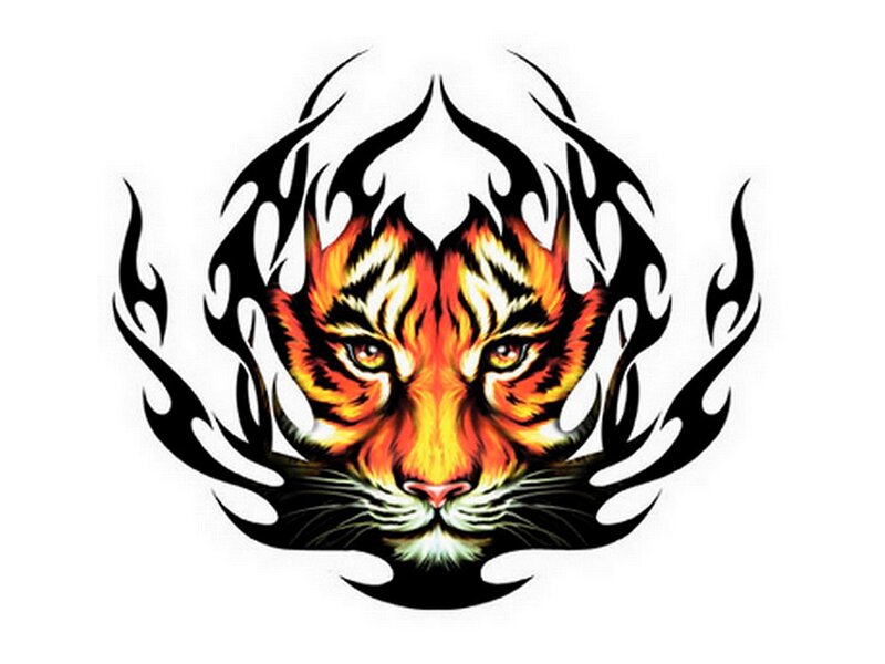 Tiger Head with Flames