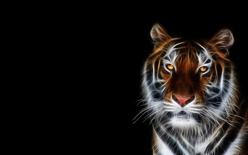 tiger head with glowing effect