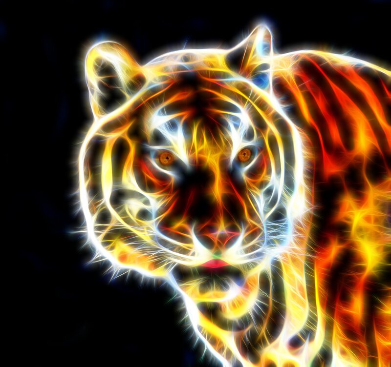 Tiger Head — Yellow, Dramatic