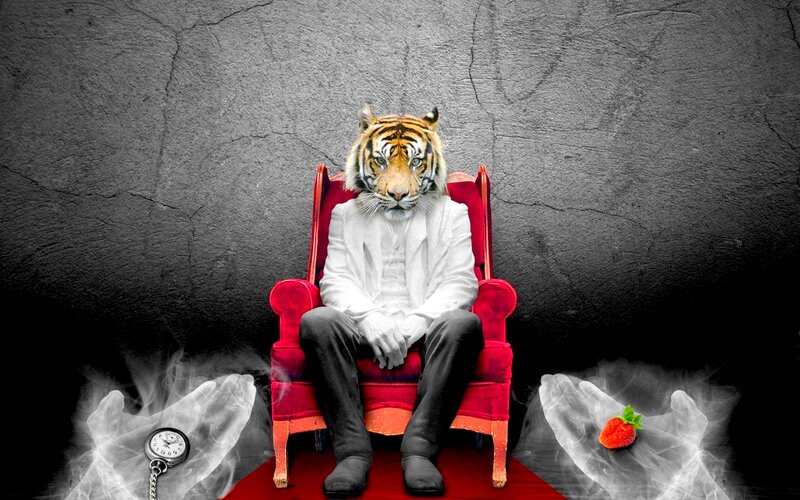 Tiger-headed Person