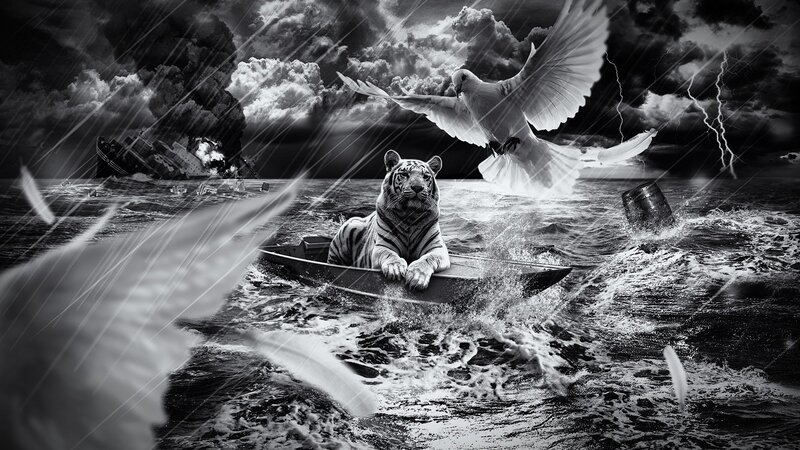 Tiger in a Boat — Black, Dramatic, Digital Art, Dove