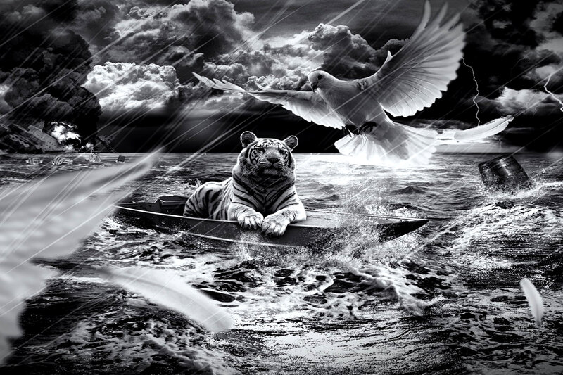 Tiger in a Boat — Black, Dramatic