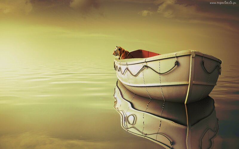 Tiger in a Boat — Yellow, Serene