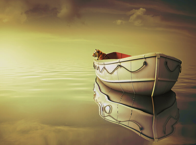 Tiger in a Boat — Yellow