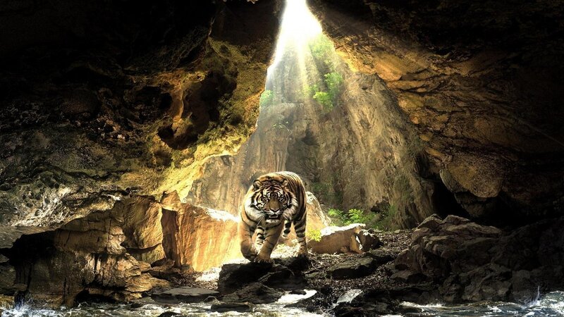 Tiger in a Cave — Brown, Dramatic, Afternoon, Digital Art, Sunlight