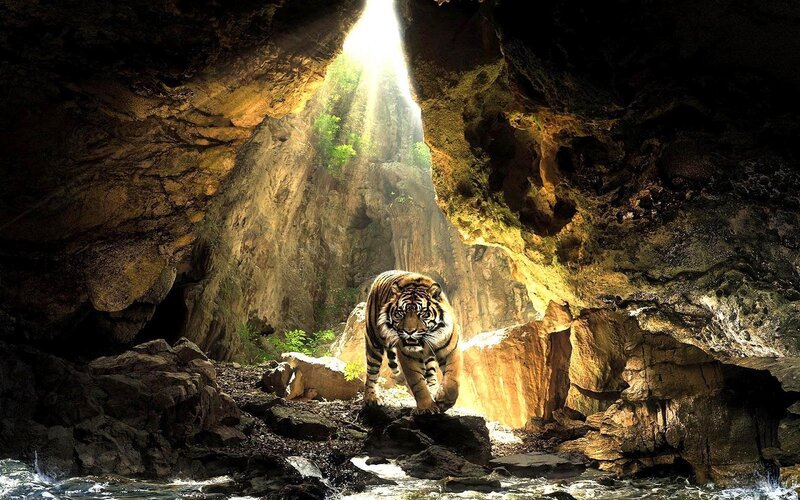 Tiger in a Cave — Brown, Dramatic, Digital Art