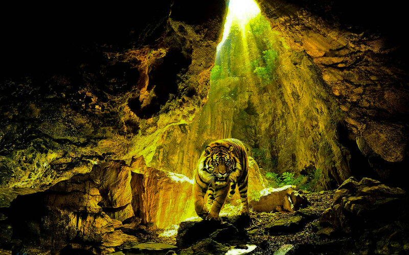 Tiger in a Cave — Yellow