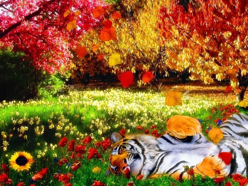 Tiger in a colorful garden