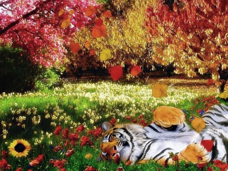 Tiger in a colorful garden