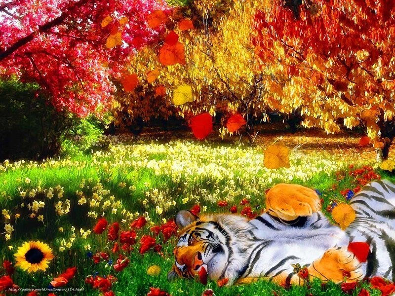 Tiger in a colorful garden