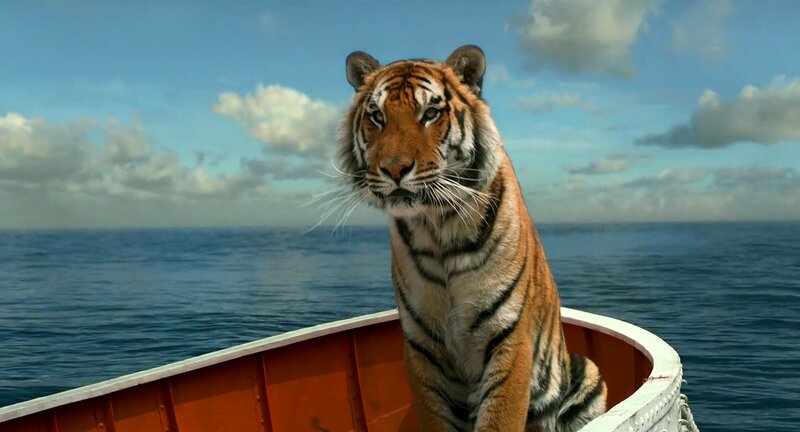 Tiger in a Lifeboat — Orange