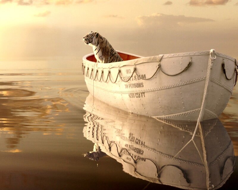 Tiger in a Lifeboat — White