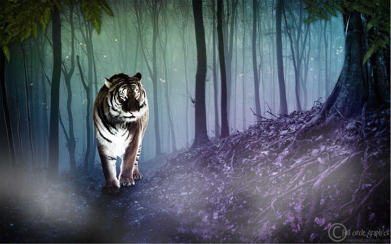 tiger in a misty forest