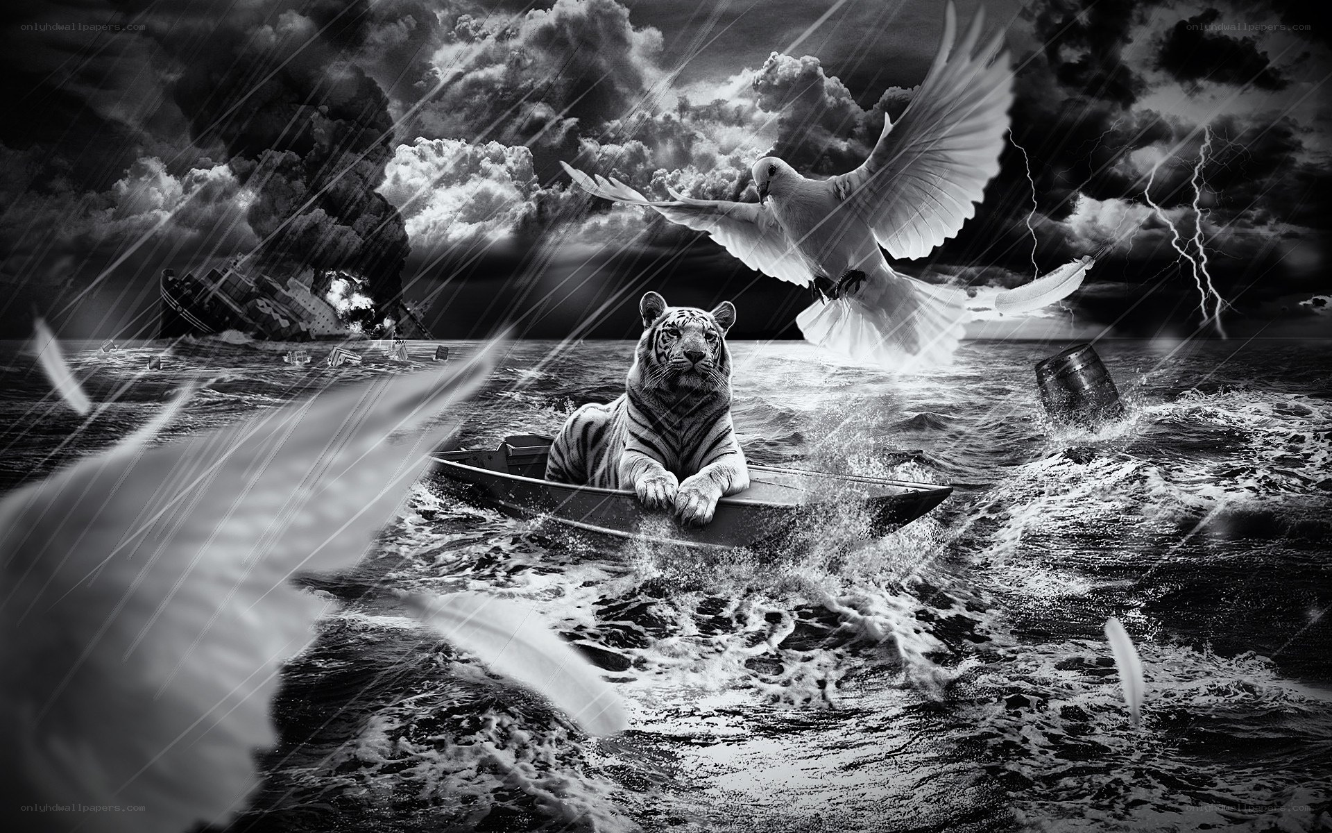 Tiger in a storm at sea