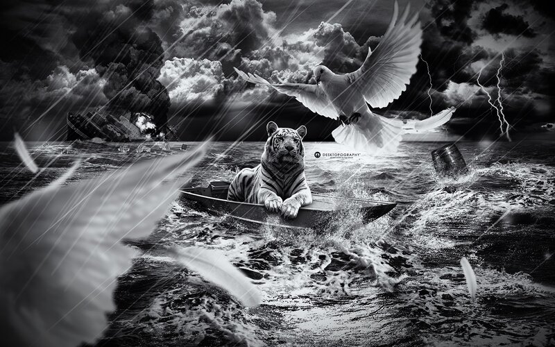 Tiger in a stormy sea
