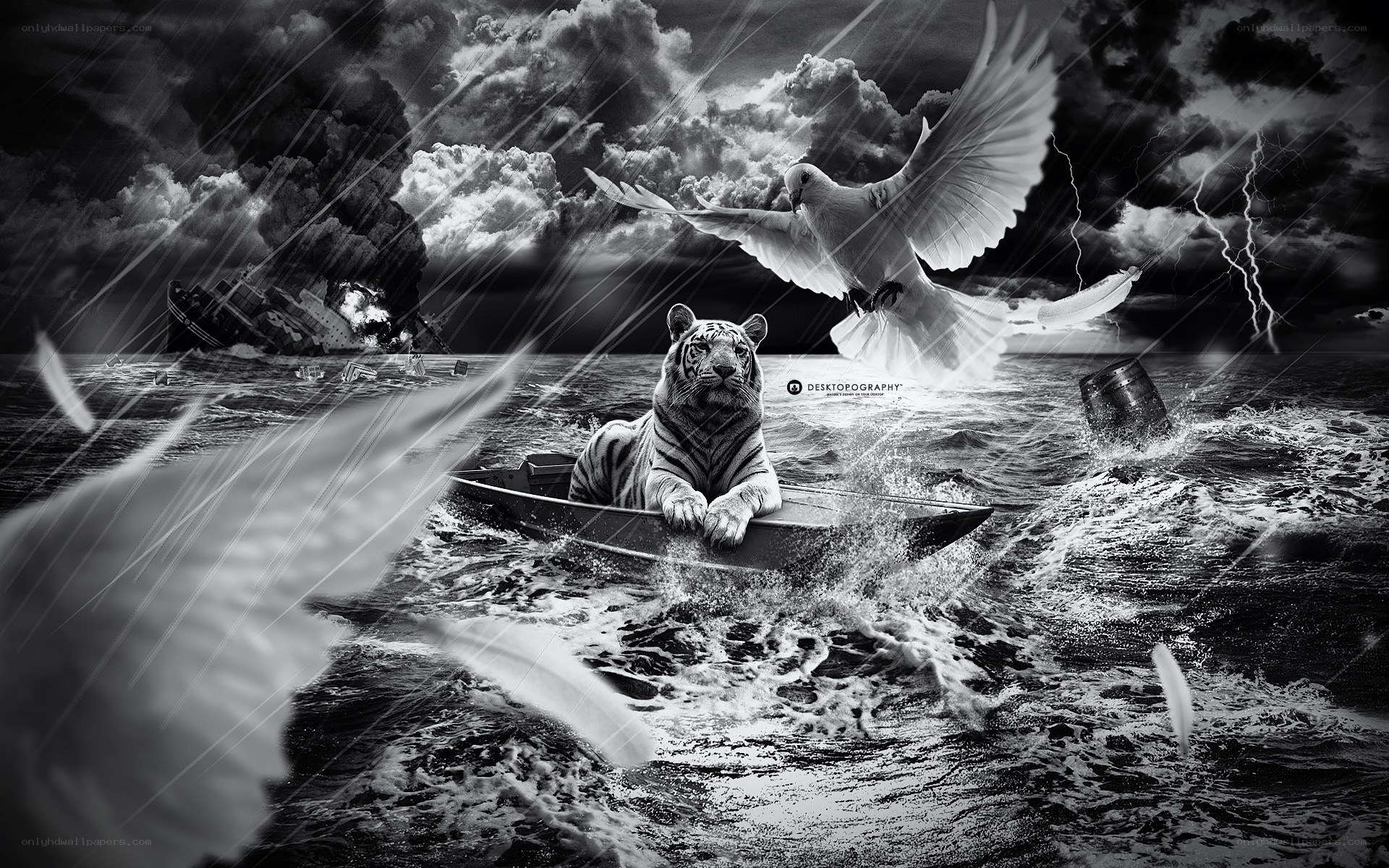 Tiger in a stormy sea