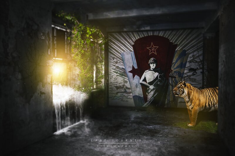 Tiger in Abandoned Building