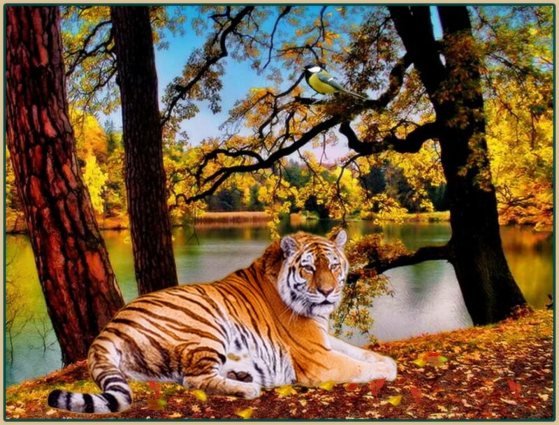 Tiger in Autumn Forest — Orange, Serene
