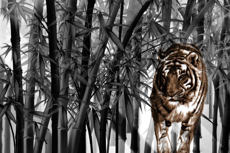 Tiger in Bamboo Forest — Black