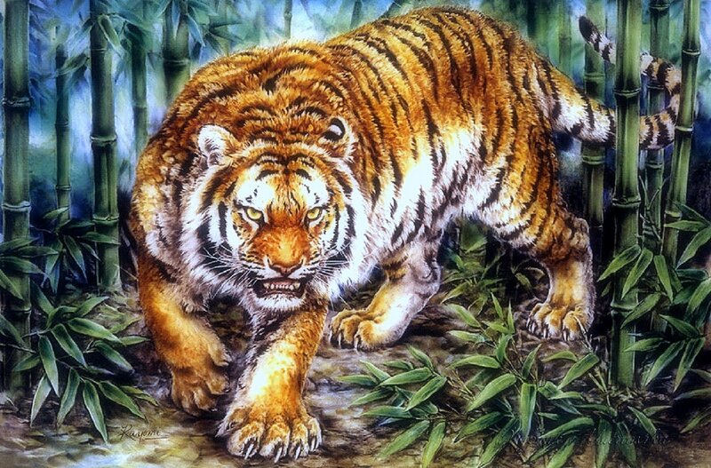 Tiger in Bamboo Forest — Orange, Intense