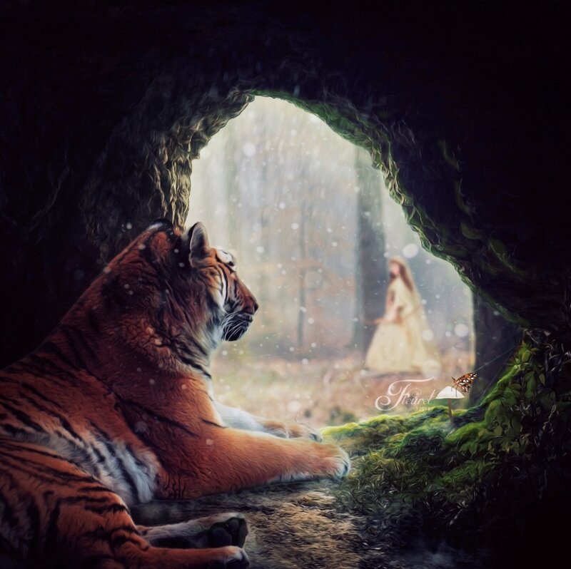 Tiger in Cave — Brown