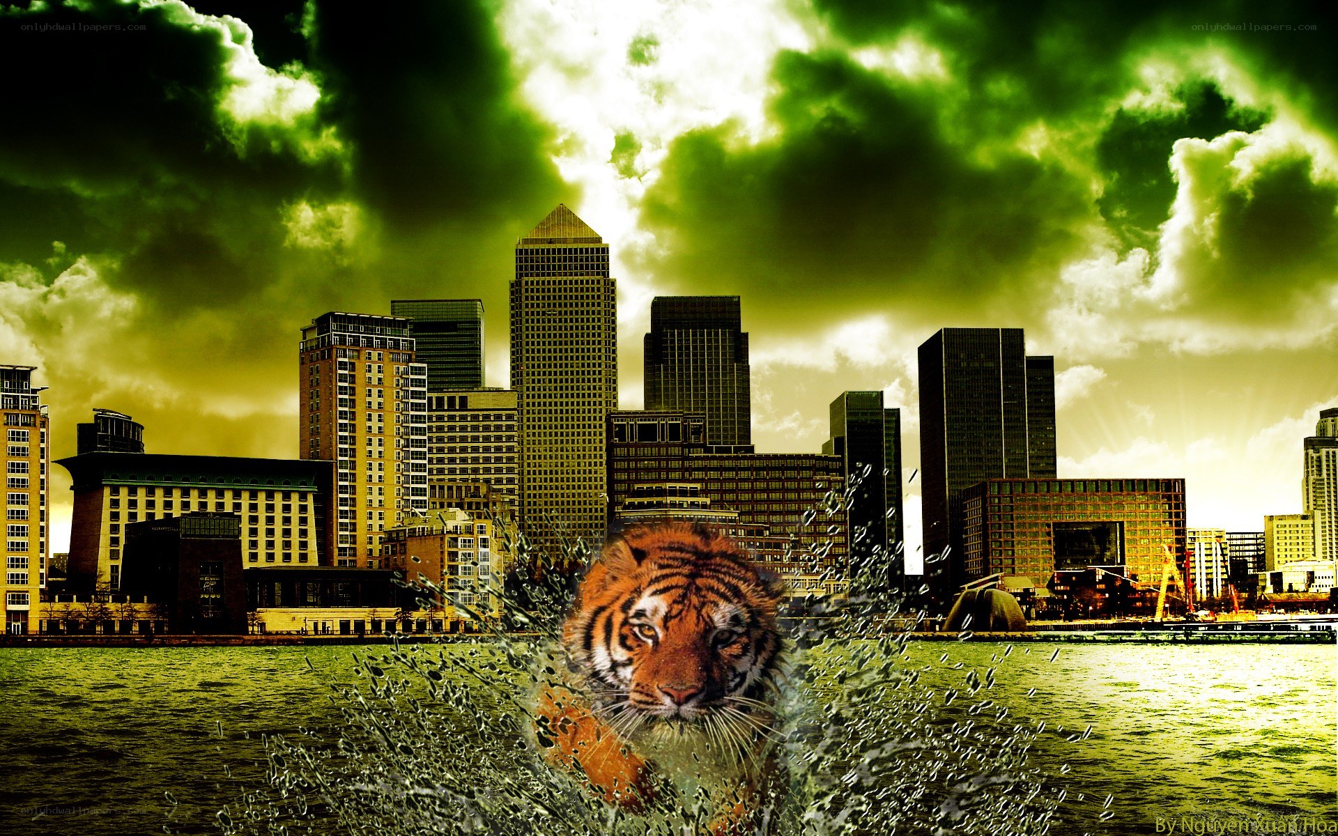 Tiger in city water