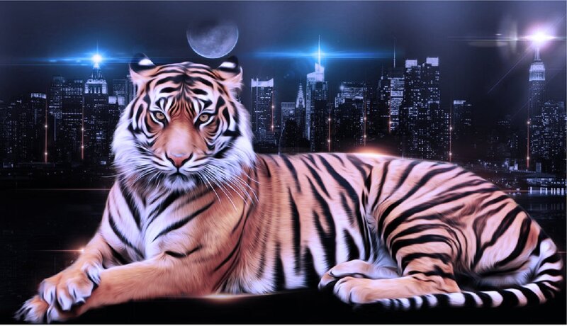 Tiger in Cityscape