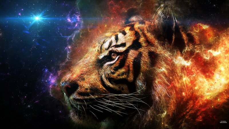 tiger in cosmic space
