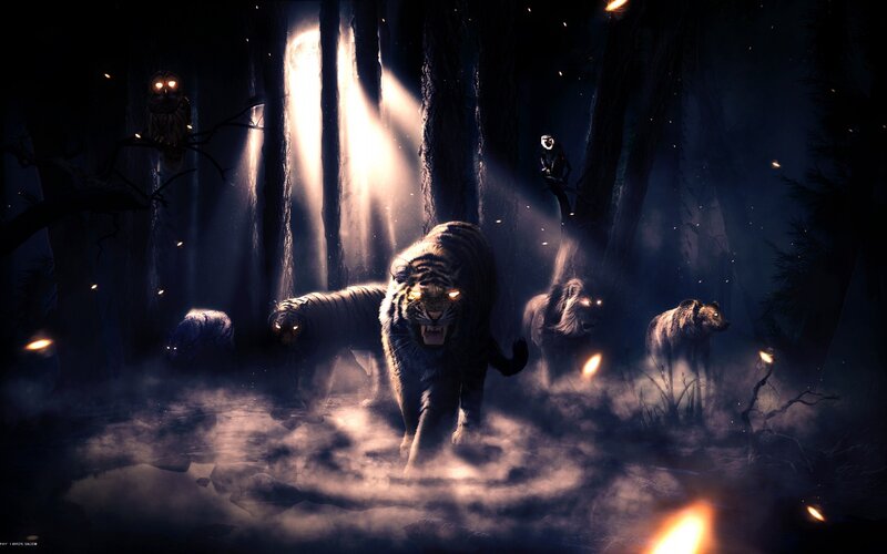 Tiger in Dark Forest