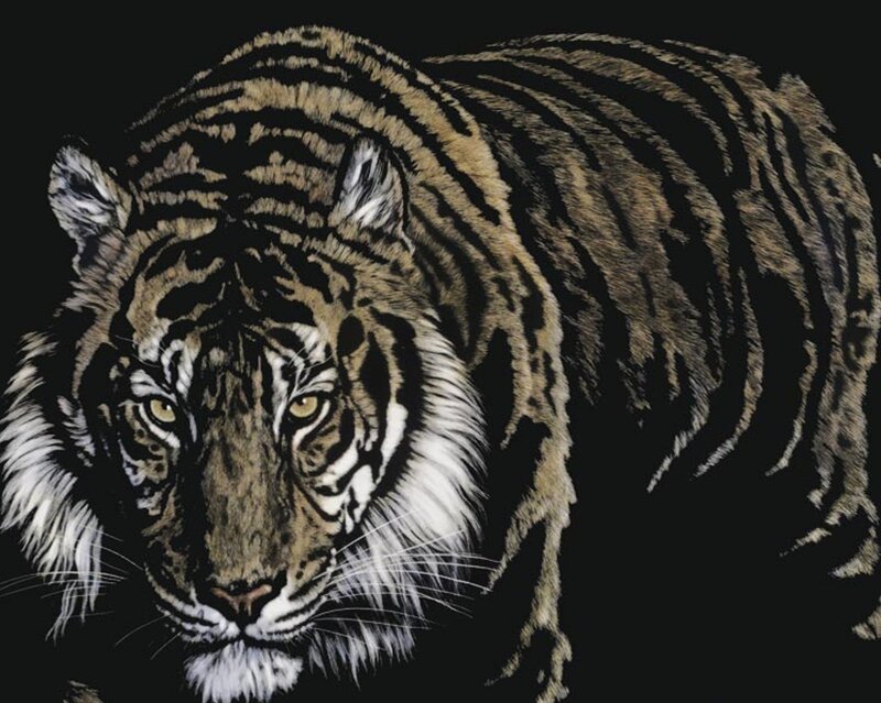 Tiger in Dark Setting — Black, Intense