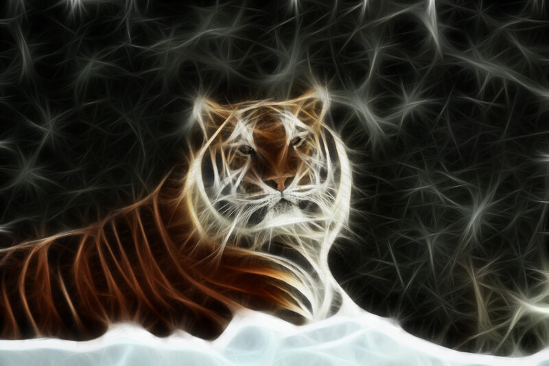 Tiger in Digital Art