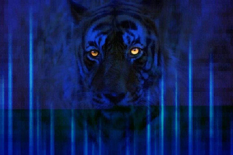 Tiger in Digital Matrix