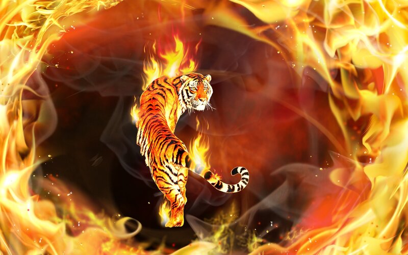 Tiger in Flames — Digital Art