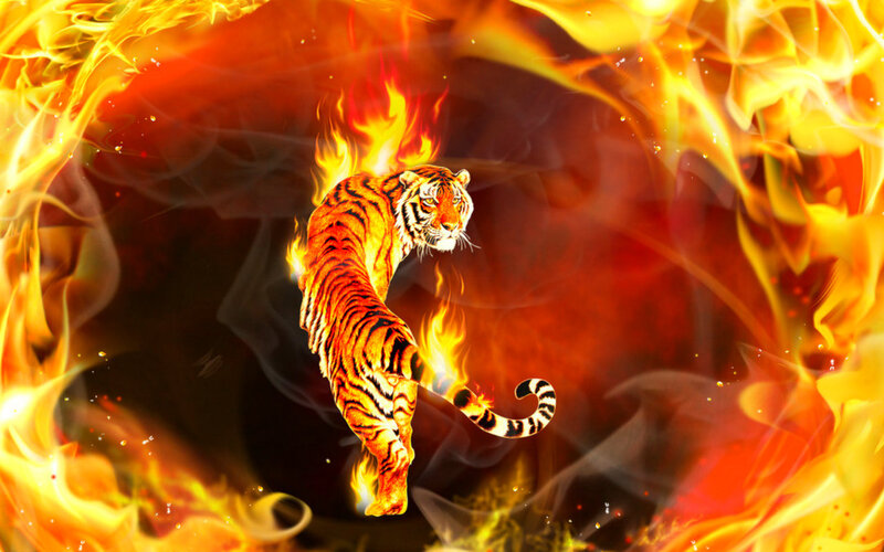 Tiger in Flames — Orange, Dramatic, Digital Art, Fire, Smoke