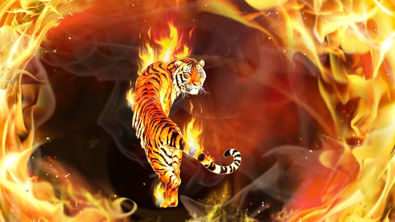 Tiger in Flames — Orange, Dramatic, Digital Art, Fire