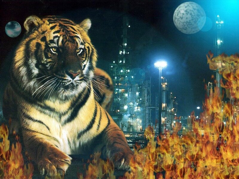 Tiger in Flames — Orange