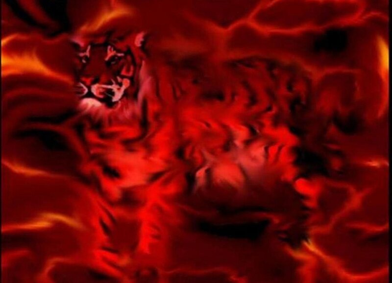 Tiger in Flames — Red