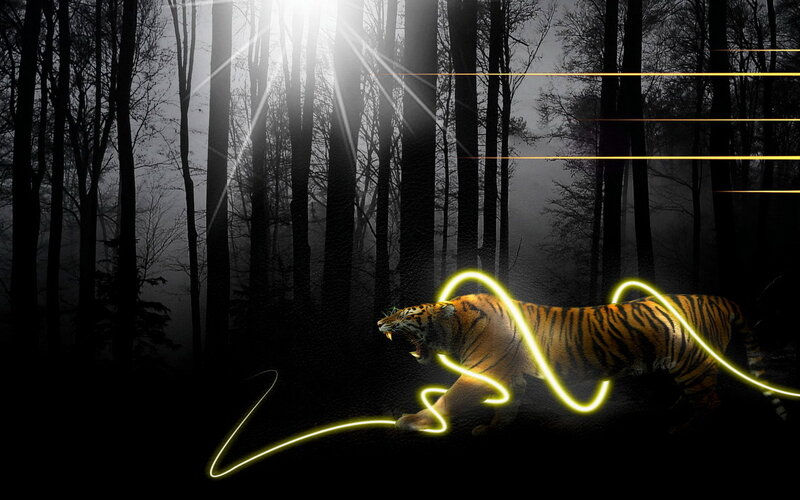 Tiger in Forest — Black