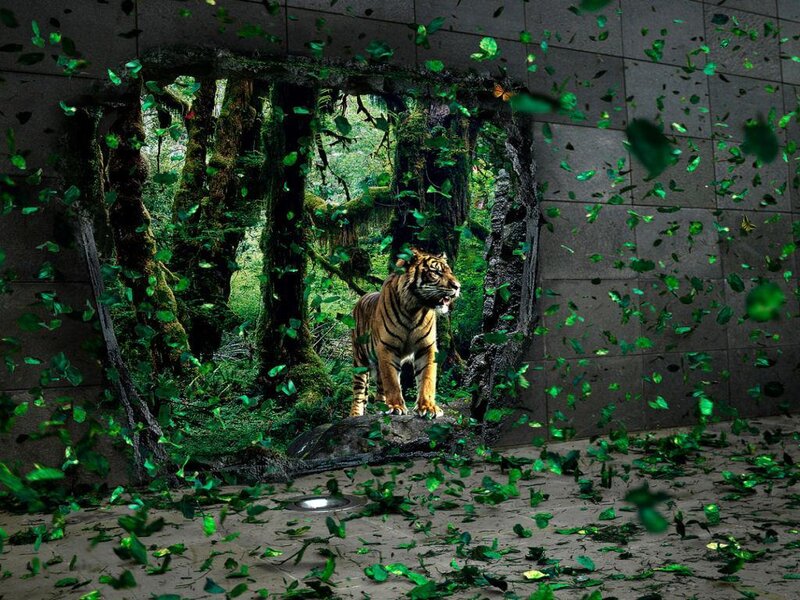 Tiger in Forest — Dramatic
