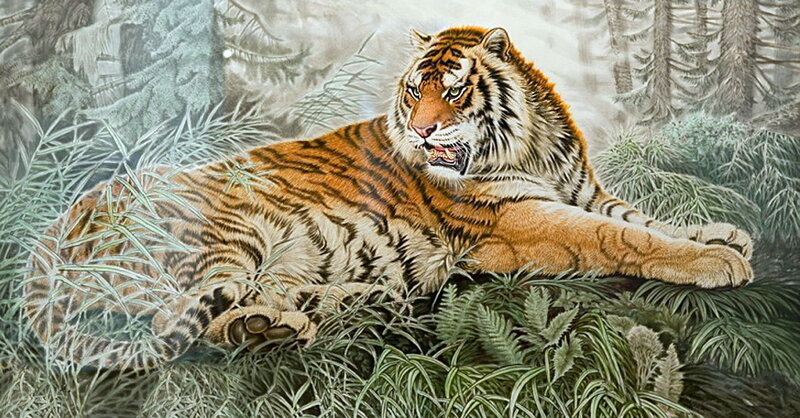 Tiger in forest grass
