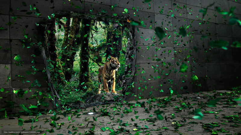 Tiger in Forest — Green, Dramatic, Digital Art, Wall