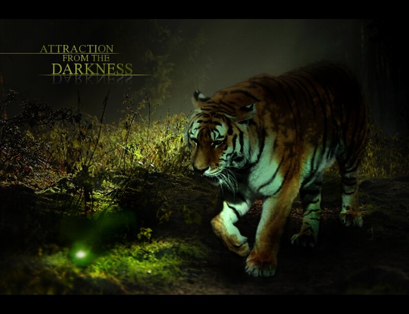 Tiger in Forest — Green, Dramatic, Night
