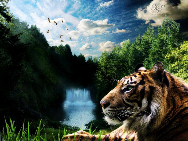Tiger in Forest — Green, Serene, Afternoon
