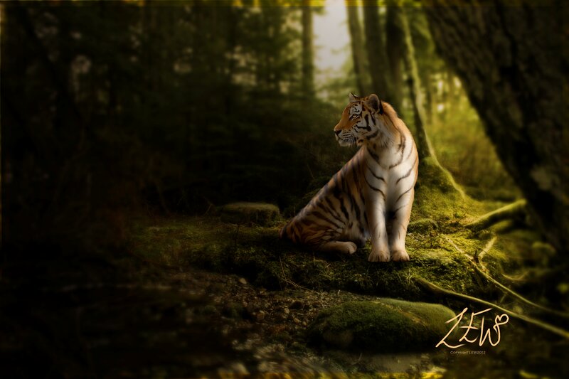 Tiger in Forest — Green, Serene, Morning