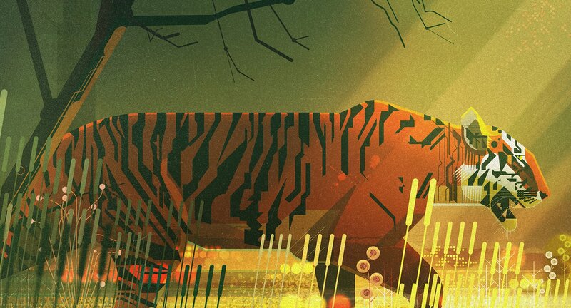 Tiger in Forest — Orange, Dramatic, Sunset