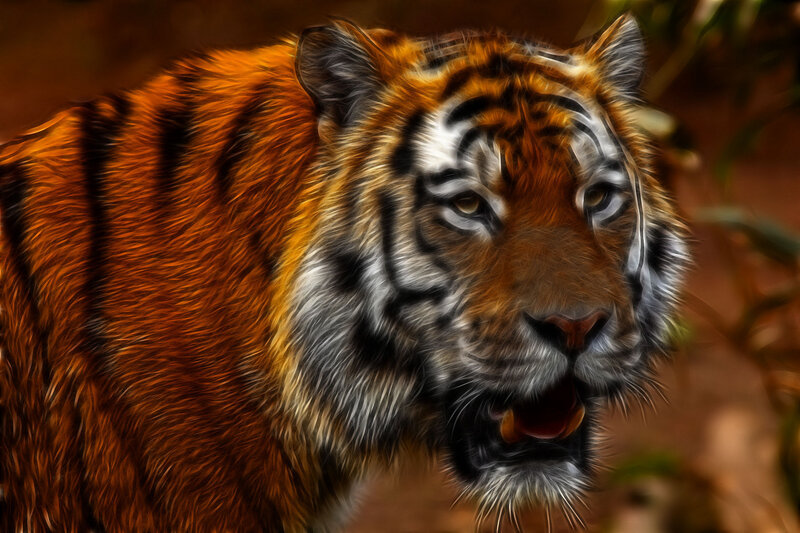 Tiger in Forest — Orange, Intense, Digital Art