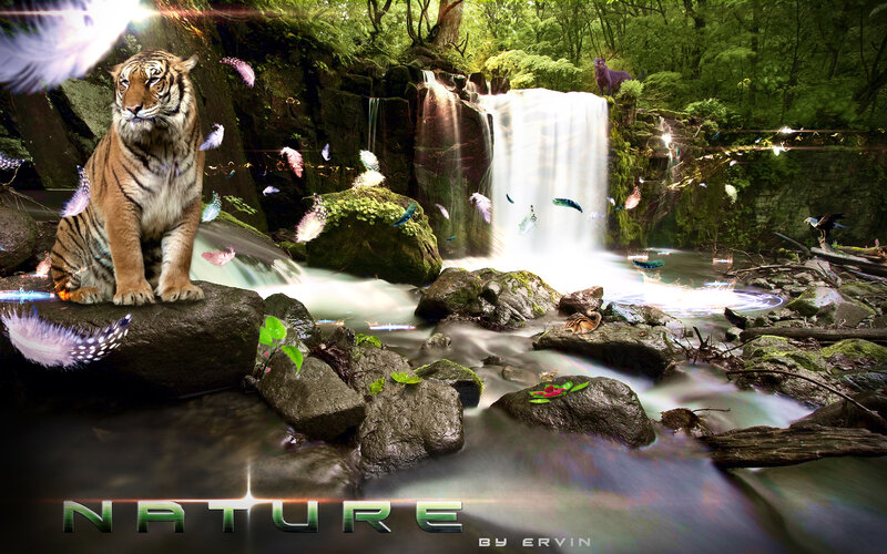 Tiger in Forest Stream